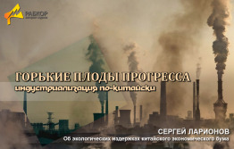 Секретом бурного экономического роста страны была дешевая и дисциплинированная рабочая сил и хищническое отношение к собственной природе. 