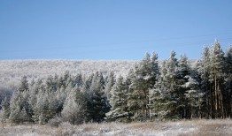 У января металлический привкус беды. 