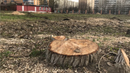 Парк в южной части города Реутова является единственной небольшой зеленой зоной для отдыха горожан, окруженный точечной застройкой высотных зданий.

18.04.2018 г. было уничтожено 5000 кв.м. парка с красивоцветущими яблонями, шаровидными ивами, которыми мы любовались, находясь в парке. Под пилу попали около 70 деревьев, около 10% парка с зелеными насаждениями.