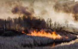 Масштабный пожар, вспыхнувший в Чернобыльской зоне, 10-й день подряд продолжает распространяться, несмотря на работу спасателей. Член общественного совета при Госагентстве по управлению зоной отчуждения Ярослав Емельяненко рассказал в Facebook, насколько критическая ситуация на текущий момент.