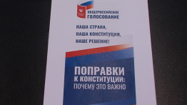 Объявив «всенародное голосование» по поправкам к конституции, власть собственными действиями спровоцировала неминуемое обострение политической ситуации. Можно было бы, конечно, спустить это дело на тормозах, перенести на осень. Или просто последовать совету Эллы Панфиловой, которая прозрачно намекала, что вопрос-то уже решен