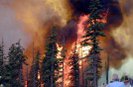 Во Владимирской области огонь уничтожил половину одного из сел. Виной всему лесной пожар, который вплотную подошел к жилым домам и перекинулся на строения.