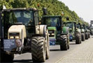 19 июня 2009 года фермеры из Франции, Германии, Люксембурга и Нидерландов заблокировали дороги Брюсселя, где проходит саммит ЕС. Несколько сот человек выступают таким образом против падения цен на молоко.