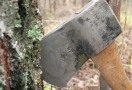 Европейский банк реконструкции и развития и Европейский инвестиционный банк отказались участвовать в финансировании строительства трассы Москва-Санкт-Петербург, которая должна пройти через Химкинский лес.
