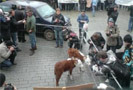 18 ноября 2009 года в Таллине перед зданием парламента Эстонии состоялась акция протеста фермеров, сообщают Novosti.err. Около 500 человек протестовали против политики правительства страны в области сельского хозяйства и требовали выплаты дополнительных пособий в размере 271 миллион крон.