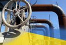 Национальная комиссия по регулированию электроэнергетики Украины (НКРЭ) повысила предельную цену на природный газ для предприятий коммунальной теплоэнергетики на 50% с 1 августа.