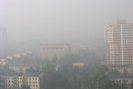 Москвичам все труднее дышать – город практически полностью окутан пеленой дыма от горящих в Подмосковье торфяников.