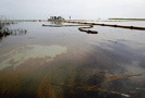 По сообщению британской нефтяной компании British Petroleum (ВР) утечка нефти в Мексиканский залив приостановлена. Об этом стало известно после завершения работ по установке нового защитного купола на место, из которого сырье текло в море.