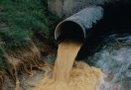 Прокуратура требует привлечь к ответственности лиц, из-за халатности которых произошел разлив мазута в Онежское озеро в Карелии, и устранить последствия аварии.