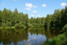 В Подмосковье задержан директор федерального агентства по управлению и использованию памятников истории и культуры. Чиновника подозревают в присвоении 1,5 гектара земли в заповедной зоне.