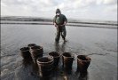 Инженеры британской компании British Petroleum (BP) начали работу по созданию нового купола для сбора нефти, вытекающей в Мексиканский залив из взорванной нефтяной платформы.