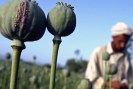 Россия и США впервые в истории провели совместную операцию по борьбе с наркотиками в Афганистане. В ходе этой операции были уничтожены три лаборатории по производству героина и одна - морфина.