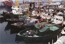 3 июня 2009 года в Находке около ста российских моряков, не получающих зарплату более трех месяцев, потребовали ареста задолжавших им шести теплоходов под иностранными флагами, стоящими на рейде и у причалов порта.
