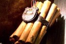 Химкинского эколога Анну Чернышеву, которую подозревают в том, что она оставила муляж взрывного устройства на месте проведения акции защитников природы, задержали сегодня сотрудники милиции для дачи показаний.