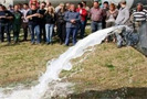 16 сентября 2009 года проходит очередная акция протеста фермеров Бельгии и Франции: они вывели на улицы коров, чтобы заблокировать движение, а затем стали выливать на землю молоко.