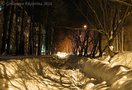 Третьи сутки Димитровград (Ульяновская область) находится в режиме чрезвычайной ситуации. Большая часть города остается без тепла, воды и энергоснабжения. Значительная часть жителей области также осталась без электричества.