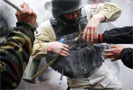 Группы противников временного правительства Киргизии движутся из Оша в другие крупные города юга республики. Об этом сообщают РИА «Новости» со ссылкой на заявление Мамасадыка Бакирова, вновь провозглашенного губернатором Ошской области Киргизии. Их целью является организация крупных акций протеста и замена глав администраций других областей.