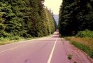Восьмикилометровый участок скоростной трассы Москва - Санкт-Петербург пройдет через Химкинский лес. Об этом заявил вице-премьер РФ Сергей Иванов.