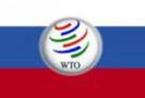 Процесс вступления России в ВТО может быть завершен в течение одного года, заявил экономический советник президента США Лоренс Саммерс (Lawrence H.Summers) журналистам в среду в Москве.