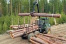 Вырубка Химкинского леса приостановлена как минимум на сутки. Защитникам и застройщикам после нескольких дней активного противостояния удалось договориться.