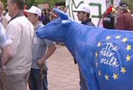 7 сентября 2009 года в Брюсселе состоялась очередная массовая акция протеста бельгийских фермеров возле штаб-квартиры Европейского Союза, передает K2Kapital.