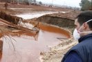 Власти Венгрии заявили, что на ликвидацию последствий экологической катастрофы в стране уйдет не менее года, а ее стоимость составит несколько десятков млн долл.