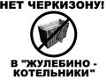 В Жулебино пройдет митинг, в котором примет участие более тысячи человек. Его участники потребуют у московских властей решить транспортные проблемы, построить метро, прекратить строительство рынка в районе.