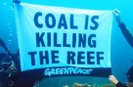 В Израиле арестованы восемь активистов экологической организации Greenpeace. Экологи проникли на электростанцию в Хадере в знак протеста против использования угля в качестве топлива.