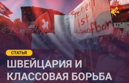 Предмет нашего рассмотрения — формы, в которых существует классовая борьба в государстве социального мира и классового сотрудничества, её история и перспективы, а также структурные и институциональные препятствия, которые её сдерживают.